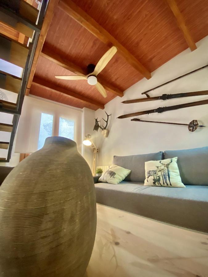 Cal Domenec Rialp - Duplex Con Encanto - Se Admiten Mascotas 外观 照片